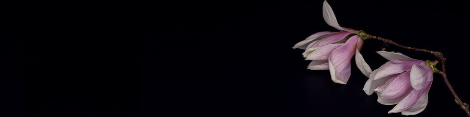 80+ LinkedIn Background Photos Images - Pikwizard