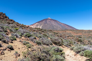 Panoramic view on volcano Pico del Teide and Montana Blanca, Mount El Teide National Park, Tenerife, Canary Islands, Spain, Europe. Hiking trail to La Fortaleza from El Portillo. Barren desert terrain