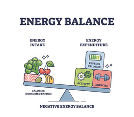 Energy balance with calories intake or daily expenditure outline diagram. Labeled educational scheme with food consumption and activities, fitness or exercise weights for body mass vector illustration - obrazy, fototapety, plakaty