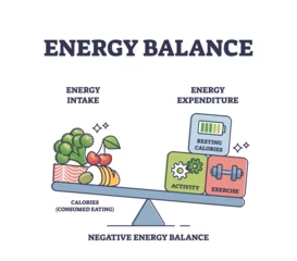 Foto op Plexiglas Energy balance with calories intake or daily expenditure outline diagram. Labeled educational scheme with food consumption and activities, fitness or exercise weights for body mass vector illustration © VectorMine