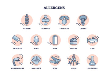 Allergens set as allergic products collection from food ingredients outline diagram. Labeled educational scheme with variety of gluten and peanuts items that cause health reaction vector illustration.