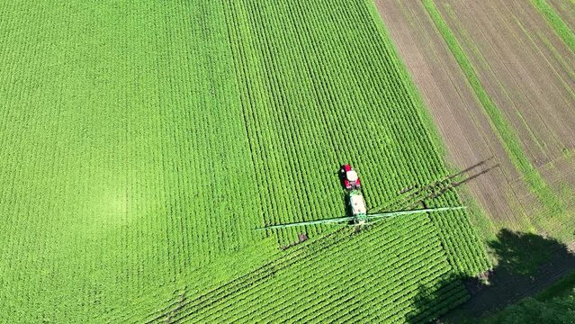Agricultural crops sprayer spraying herbicides or pesticides on potato plants growing in a field during a spring day. Drone point of view from above.