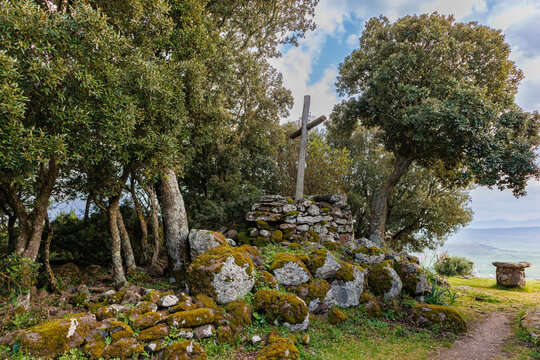 In the Parco della Giara nature reserve on the island of Sardinia