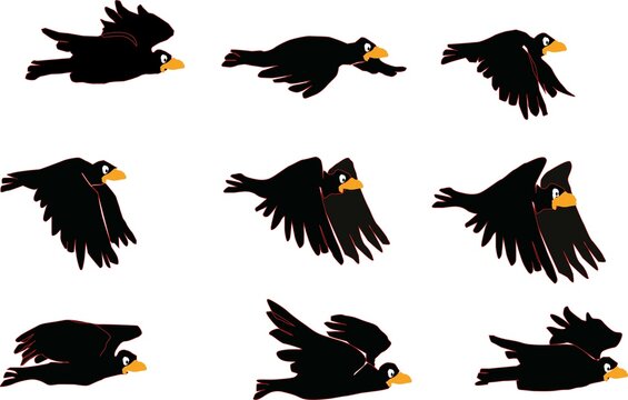 Image sequence for bird fly.