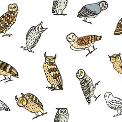 Vector horizontal seamless pattern with hand drawn group of funny owls. Ink drawing, decorative graphic style. Beautiful animal design elements, perfect for prints and patterns