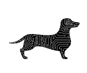 Dog. Dog microchip. Abstract dog in the background.