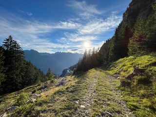 just a small road in the Swiss mountains