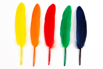 Set of colorful of feathers