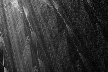 black and white abstract background. Abstract fractal black and white background