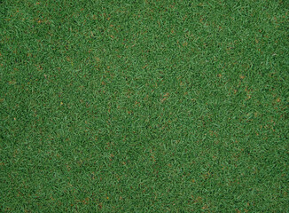 The texture of green artificial grass.Covering for sports stadiums and decorations.