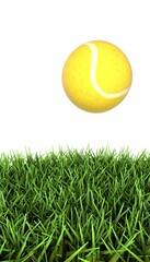 Tennis ball on the grass. Minimalistic design, sports concept. 3D render