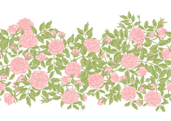 Roses flowers on branches. Millefleurs trendy floral design. Seamless border pattern, linear ornament, ribbon Vector illustration. Isolated on white background.