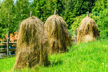typical hay bale at a meadow