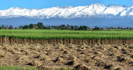 Cerros tucumanos