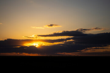 Sunset or sunrise in a spring field with green grass, willow trees and cloudy sky. Sunbeams making their way through the clouds.