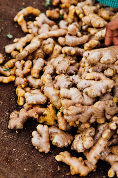 Large pan of fresh ginger in a market in India