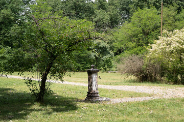 Fontanella d'acqua nel parco vicino ad un albero di ciliegie 