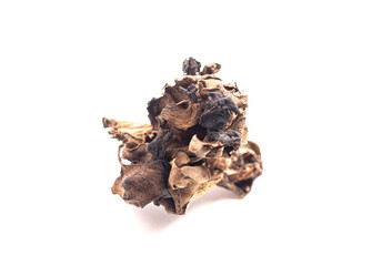 Wild Black Trumpet Mushrooms Isolated on White Background