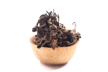 Wild Black Trumpet Mushrooms Isolated on White Background