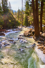 Yosemite turquoise waters cascading over frosty rocks in pine tree forest