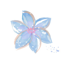 Blue flower painted with watercolor paints on a white background