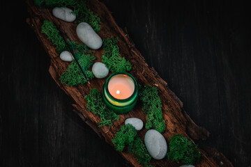 White candle, green moss and stones in the bark of a tree on a black background.