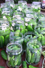 Cucumbers in jars prepared for pickling. Homemade cucumber preserves