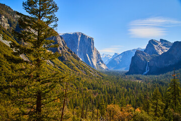 Yosemite iconic Tunnel View with pine tree in foreground
