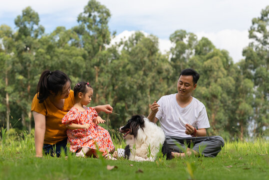 happy asian family with dog in the park