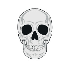 Fototapeta premium Skull Head Vector Illustration
