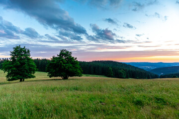Fototapeta na wymiar Sommerspaziergang durch die schöne Natur des Thüringer Waldes - Thüringen
