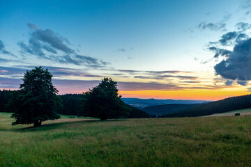 Obraz premium Sommerspaziergang durch die schöne Natur des Thüringer Waldes - Thüringen
