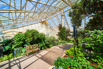 Walking path with bench in greenhouse and glass ceiling