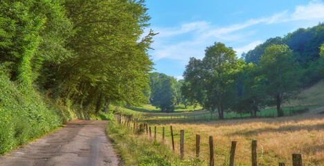 Summer landscape view of big trees, small road in the countryside. A path through nature, grass, blue sky and clouds. A summer day secluded place along a neglected road and tree shade areas.