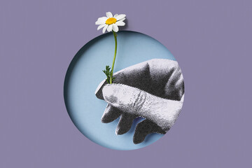 Hand with daisy flower