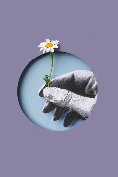 Hand with daisy flower