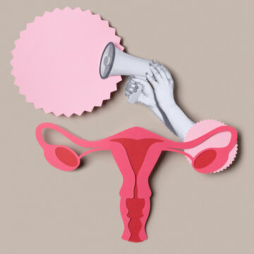 Female reproductive system