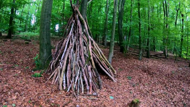 Ehrenberg Wichlinghausen Woods 3
