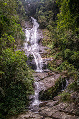 waterfall and stones in the middle of the forest