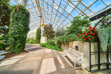 Walking path with bench in stunning greenhouse of glass and pillars of ivy