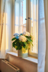 A vase of fresh Bigleaf Hydrangeas neatly arranged on a window. Beautiful white flowers against soft sunlight in a house. Decorative petals and leaves adding zen and beauty to a show room of a rental