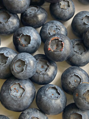 blueberry