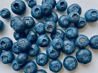 blueberries on a white background