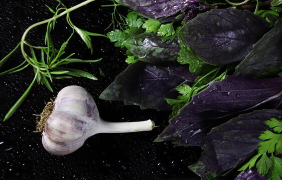 Head of garlic on a dark surface with herbs. Shallow depth of field