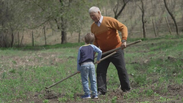 Elderly man shows to his grandson how to use the hoe for agriculture