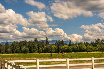 Family groups at one of the many u-pick farms in Washington's Skagit Valley (outside of Seattle) on a sunny weekend afternoon, with high puffy white clouds behind them.