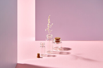 Empty bottles with dried flower