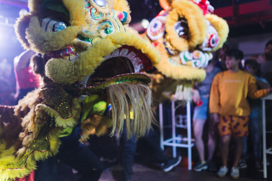 Dragon Performer During Chinese New Year Celebrations