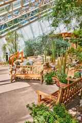 Pair of benches on path surrounded by cactus plants in greenhouse