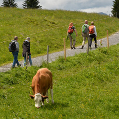 wanderer im kleinwalsertal